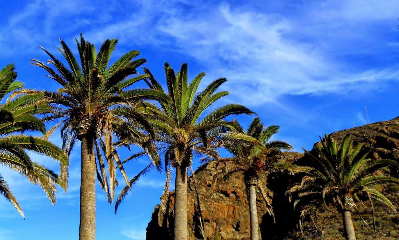 Phoenix Canariensis San Juan de la Rambla Exterior foto